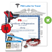 Travel Letter