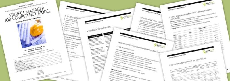 project manager competency model