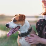 Support Animal Letter