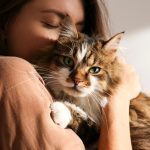 Emotional Support Cat