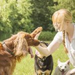 Best Psychiatric Service Dog