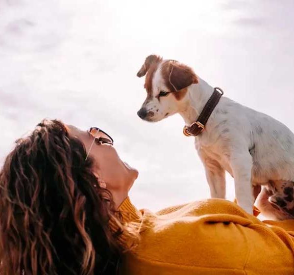 ESA (Emotional Support Animal) Letter