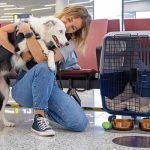 Latest Airline Rules for Psychiatric Service Dogs: What You Must Know This Year