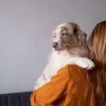 The Complete ESA Letter Guide: How to Qualify for an Emotional Support Animal